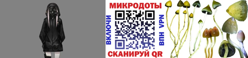 Галлюциногенные грибы GOLDEN TEACHER  Купить закладки  Заозёрный 