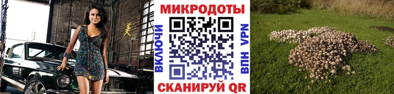 Псилоцибиновые грибы ЛСД Заозёрный